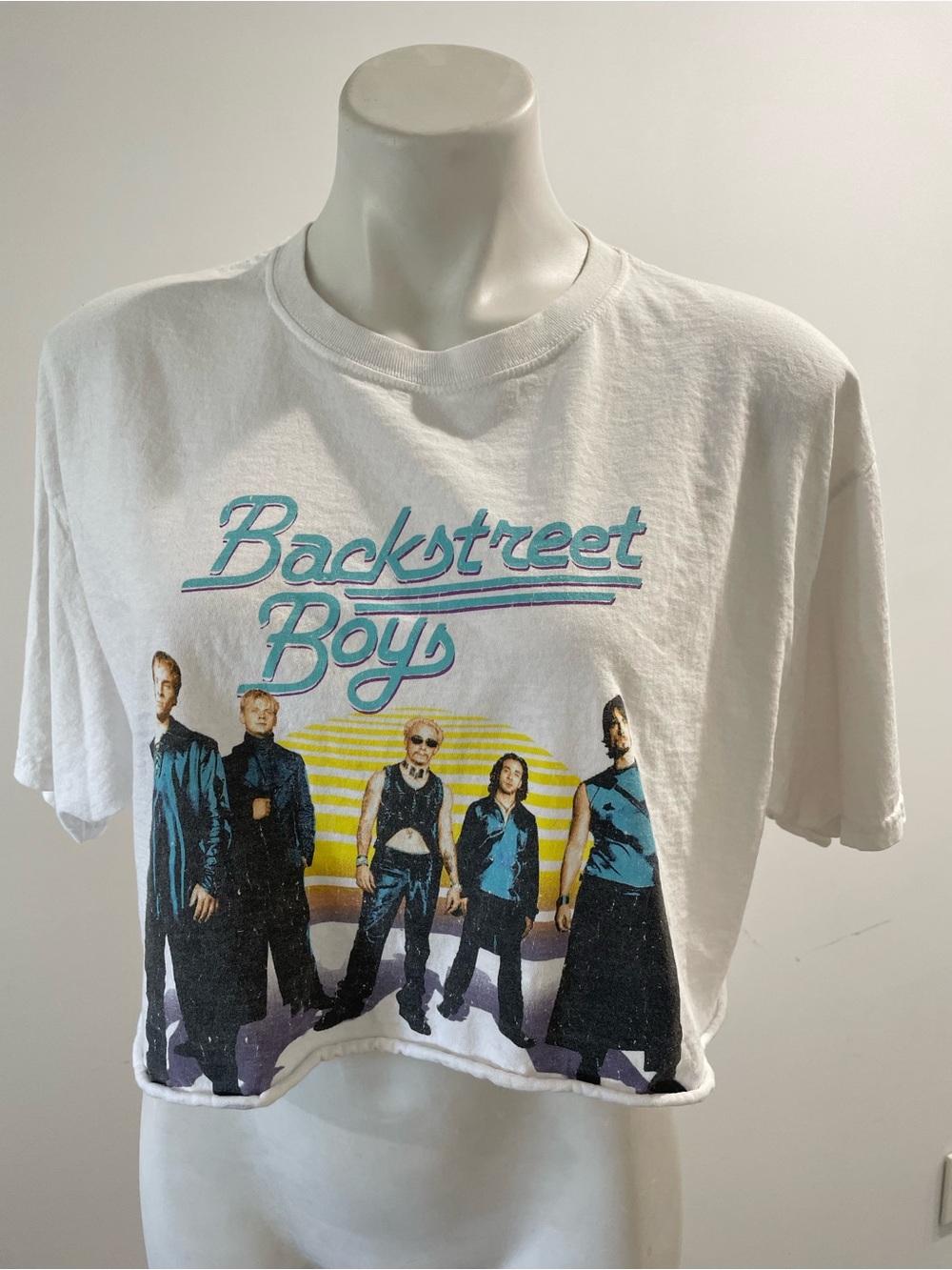 Backstreet Boys Cropped Tee M / L White Cotton S/S Crew Neck Crop